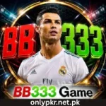 BB333 Game