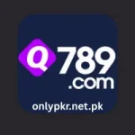 Q789 Game
