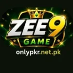 ZEE9 Game