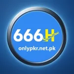 666H Game