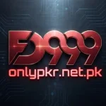 FD999 Game